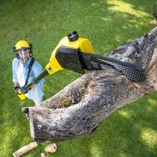 Best Lawn Mowing  in Brown Deer, WI