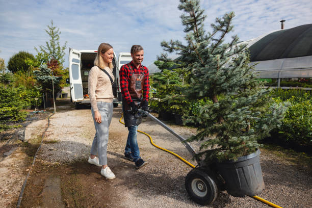 Best Tree Risk Assessment  in Brown Deer, WI